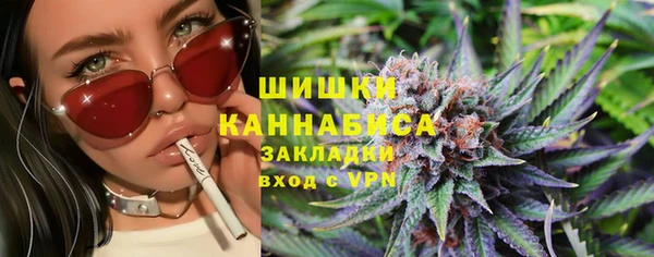 гидропоника Алзамай