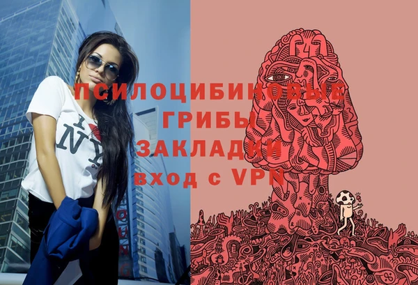 гидропоника Алзамай