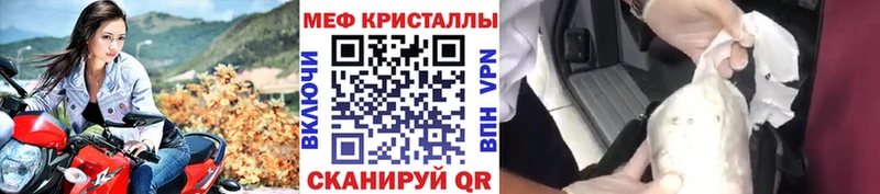 МЯУ-МЯУ VHQ  Благодарный 