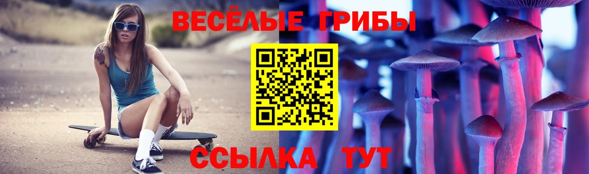 Благодарный  Галлюциногенные грибы прущие грибы  Вход с VPN 
